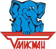 Страховая компания талисман - логотип